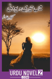 Main Teri Deewani Novel By Kinza Fatima