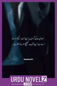 Atish e Ishq An American Monster Novel By Saleha Iqbal