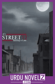 Street 12 Novel By Ali Shah